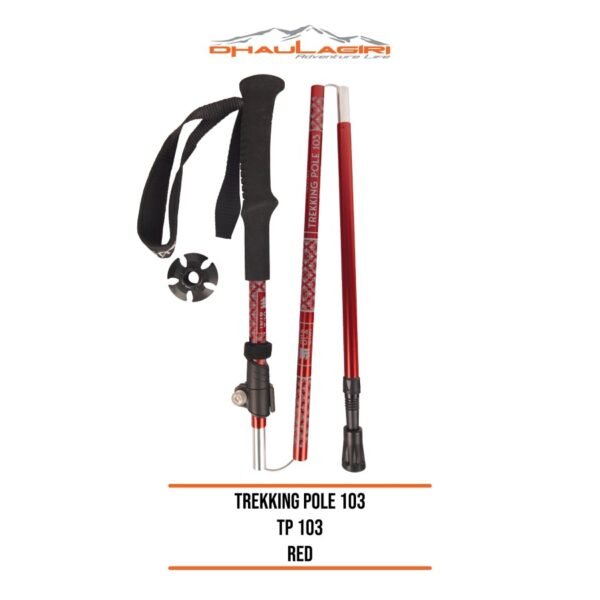 DH TREKKING POLE 103 - Image 2