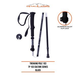 DH TREKKING POLE 103