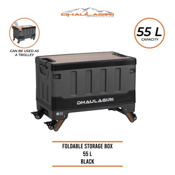 DH FOLDABLE STORAGE BOX 55L